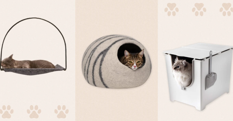 Top Picks for Cat Toys, Litter Boxes, and Essential Feline Supplies 1